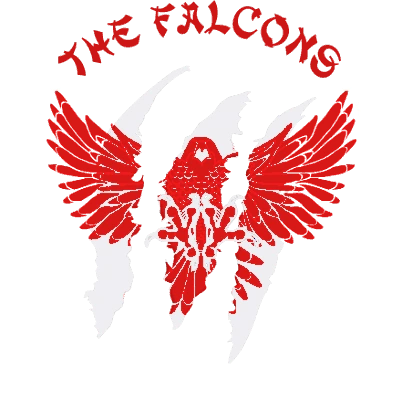 FalconsKB Martial Arts logo