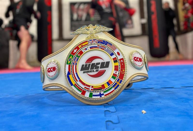 FIGHTERS